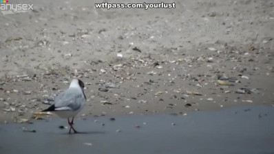Sexy blondie gives good blowjob on the beach and indoor