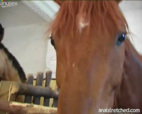 Amazing black head with pigtails Sandy gets busy with sucking a dick in the shed