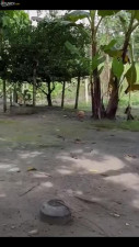 Big booty babe takes care of his boner and swallows his nut