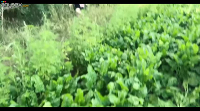 Cute teen got lost in the woods, so she gave him a head for his help POV
