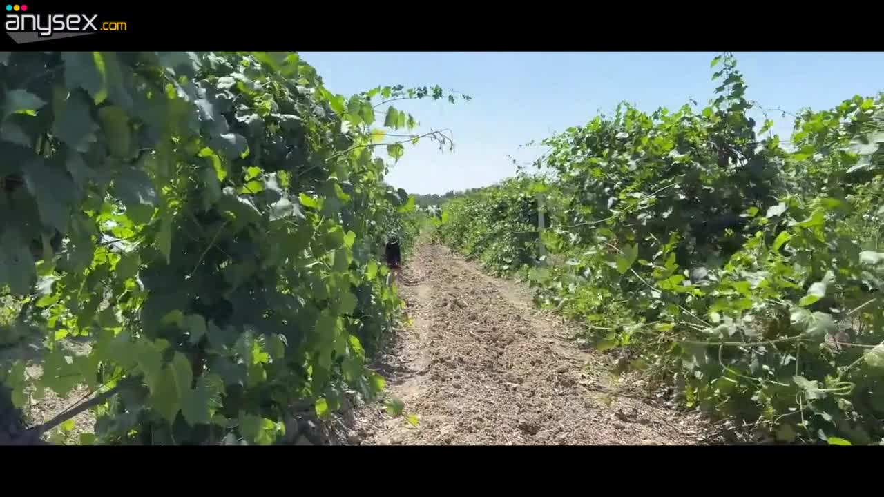 Latina Teen's Vineyard Temptation: Rough Anal and Creamy Finish in Outdoor POV Free Porn Videos | ePornAny.