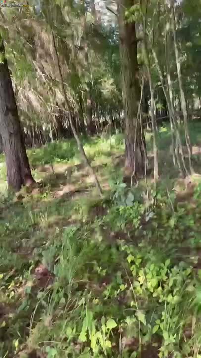 Shameless blonde girl spreads her cheeks for a random man in a forest Free Porn Videos | ePornAny.