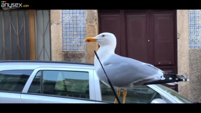 Wild fuck after first date with perfect cute German brunette