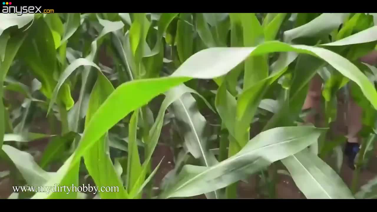 German MILF gives a blowjob and gets fucked in the corn field Free Porn Videos | ePornAny.