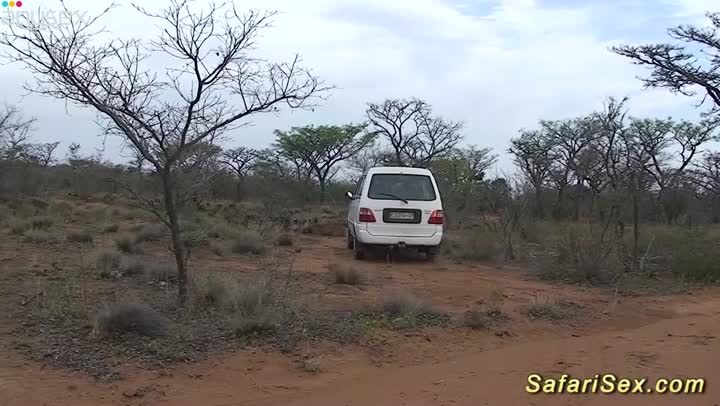 african safari groupsex fuck orgy Free Porn Videos | ePornAny.